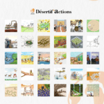 Pastoralism in bubbles and pencils: The huge success of the Désertif’actions 2026 competition!